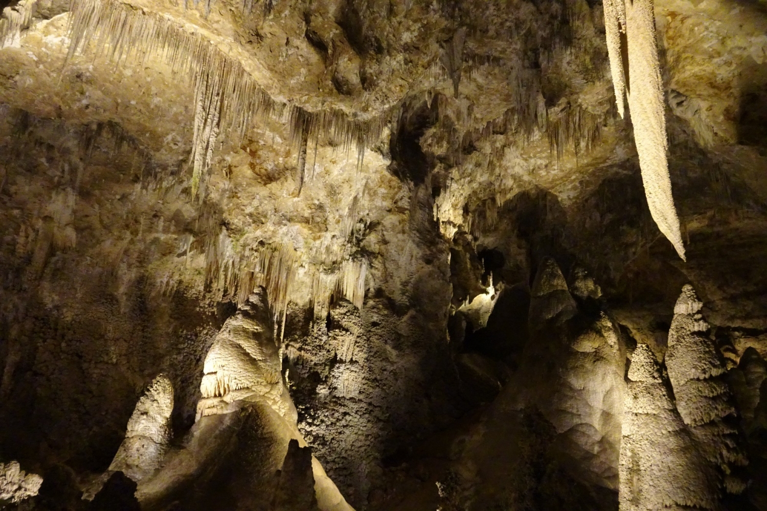 Carlsbad Caverns, New Mexico, US 2