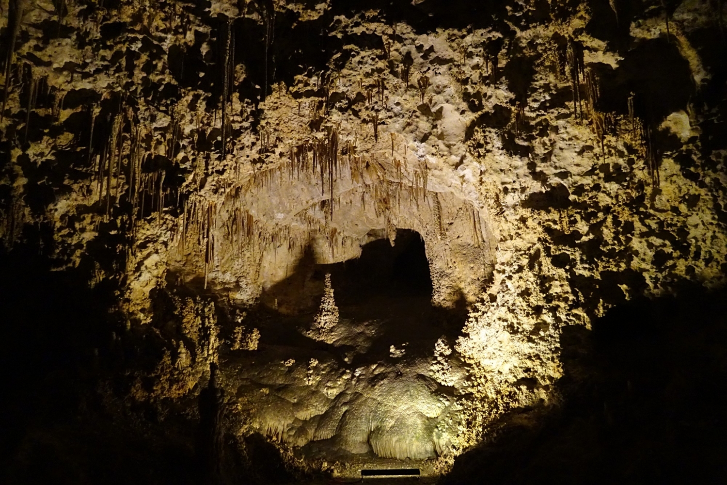Carlsbad Caverns, New Mexico, US 5