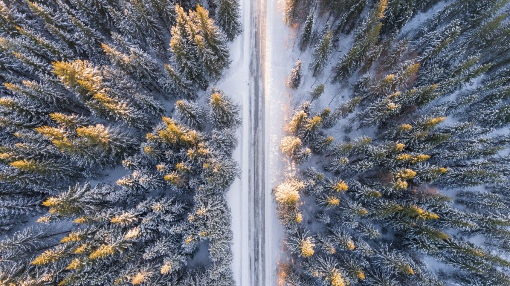 Snowy roads through forest